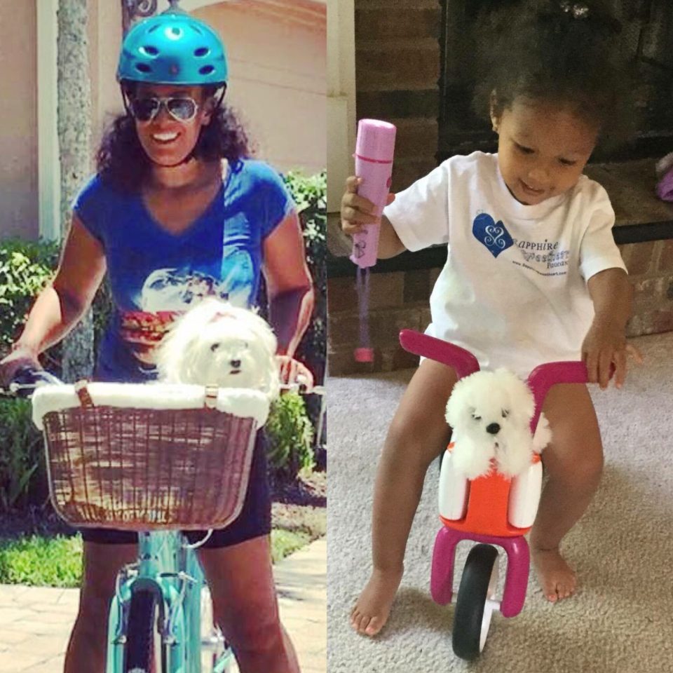 Saying goodbye: helping families heal after the loss of a pet In memorandum of gigi, our belovd family dog, a maltese with a pink bow riding in the basket of a bike with the author and side by side photo of her granddaughter riding a play bike with a doll that looks like gigi - saying goodbye: helping families heal after the loss of a pet
