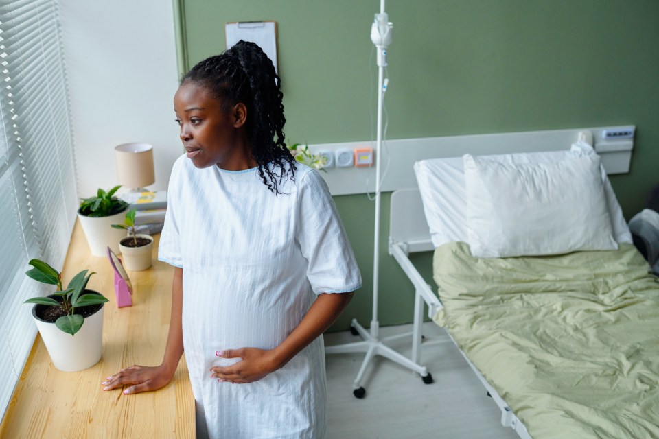 Pregnant african american woman standing by windowsill while holding her belly in hospital room, gazing outside with peaceful expression. Hospital bed and indoor plants visible in calm environment for an article titled the crisis in black maternal and infant health: what every parent need to know