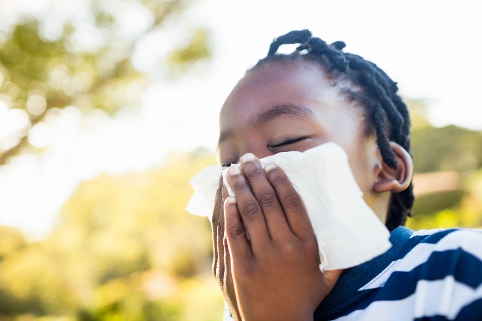 How to protect your child from fall seasonal allergies: essential tips for parents An african american girl struggles with seasonal allergies as she blows her nose.