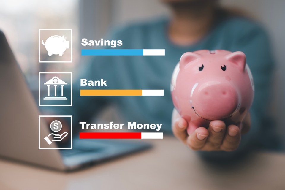 Budget and saving money concept for financial accounting,woman hand putting coin in piggy bank, financial plan and money saving ideas, business finance and investment, life and family planning for an article titled, "4 financial tips for single parents to secure their family’s future"