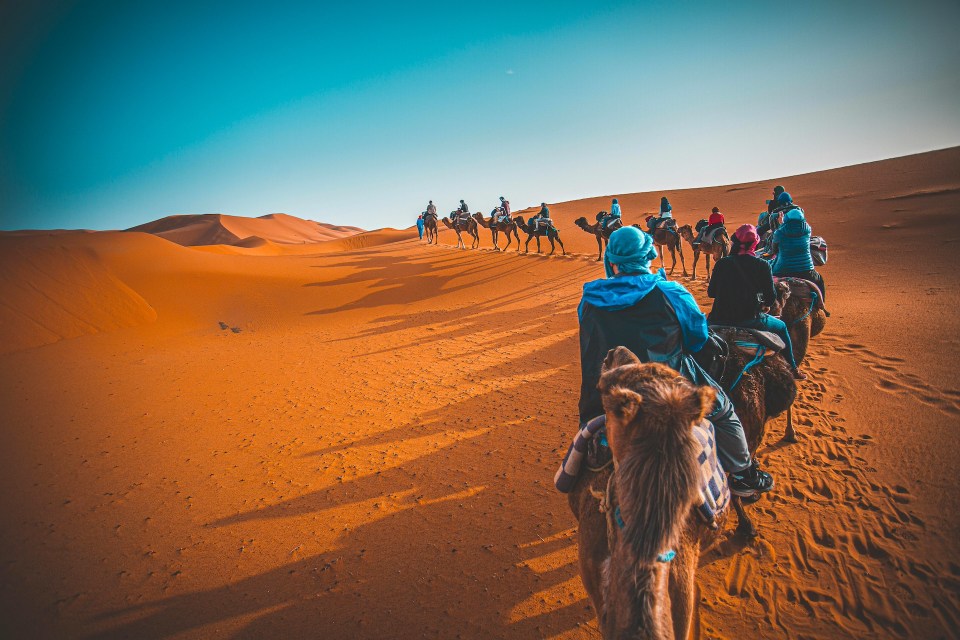 Family riding camels across the sahara desert in morocco, a unique travel experience.