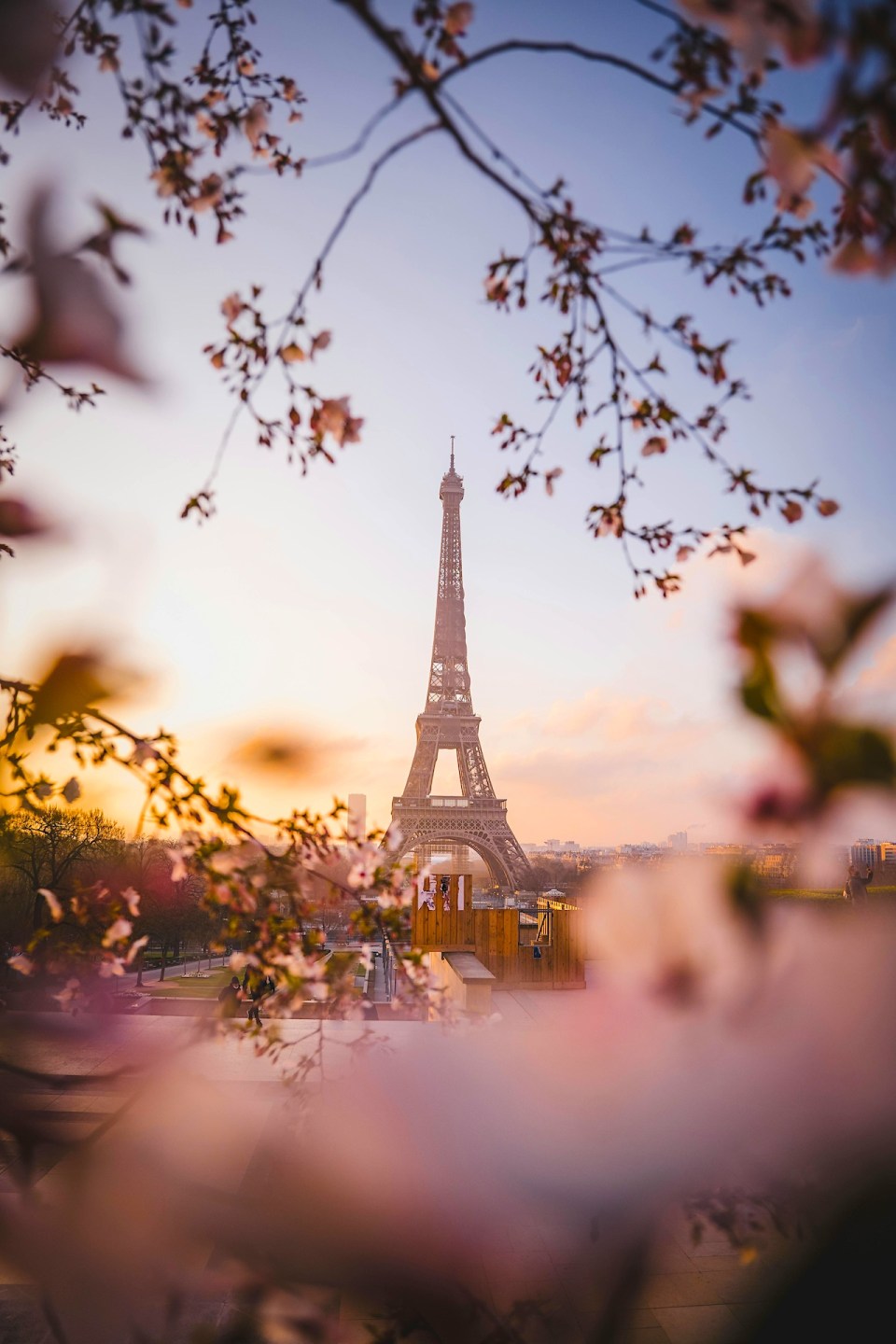 The eiffel tower is seen through cherry blossoms in paris for a trip for families featured on successful black parenting magazine.