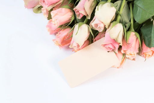 A dozen of pink roses on a table for an article about mother's day roses: the complete guide to choosing perfect blooms