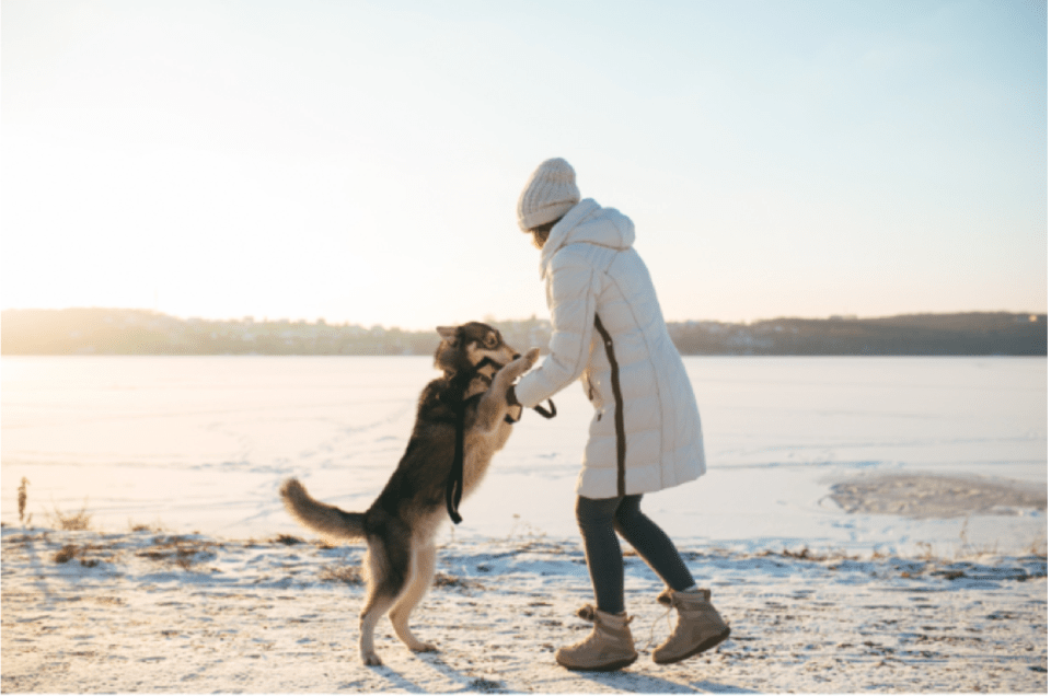 A person in a winter coat and beanie plays with her family pet, a large dog, on a snowy lakeside path during sunrise, enjoying outdoor bonding time in cold weather.